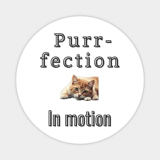 Purr-fection in motion Magnet